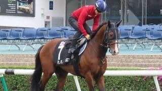 【香港C 枠順確定】プログノーシス＆川田将雅騎手は6番ゲート、ローシャムパーク＆D.レーン騎手は11番ゲート