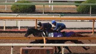 ララクリスティーヌ、阪神C2週前追い切り速報/栗東トレセンニュース