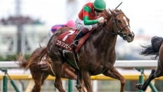 【阪神JF出走馬・騎手確定】コラソンビート＆横山武史騎手、サフィラ＆松山弘平騎手など18頭