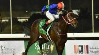 パンサラッサの種付料は300万円 海外G1を2勝のロードカナロア産駒