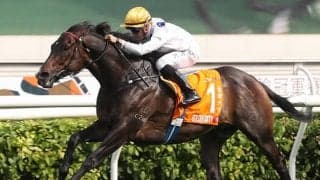 通算獲得賞金25億円超の香港最強馬がノーザンホースパークへ 引退後についてオーナー語る