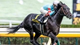 【中日新聞杯出走馬・騎手確定】ヤマニンサルバム＆三浦皇成騎手、ピンハイ＆高倉稜騎手など17頭