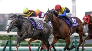 香港スプリントは地元勢が無双状態 日本馬2頭は一矢報いることができるか