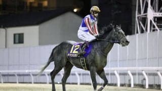 【神奈川記念】JRA出走予定馬