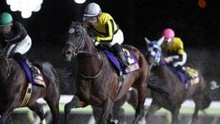 【大井・勝島王冠結果】ナイスネイチャの近親サヨノネイチヤが5連勝で重賞初制覇！