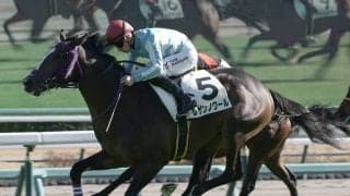 【新馬/中山5R】マーカンド騎乗、レザンノワールの大外一気が決まる