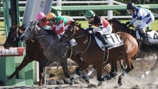 【新馬/中山6R】伏兵ダイヤモンドナイツがゴール寸前強襲