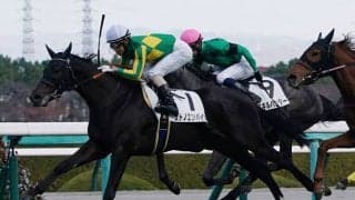 【新馬/阪神5R】サトノクラウン産駒 サトノエンパイアがゴール前で抜け出す