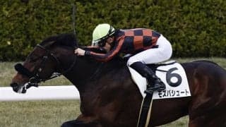 【新馬/阪神6R】グランプリボス産駒 モズパシュートが力強く抜け出す