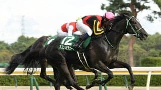 阪神JFを血統から分析　過去の好走馬と「血統の共通点」が多い２頭に期待