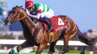 世界相手に燃える血統！ トウカイテイオーの孫が香港ヴァーズでGI初V狙う