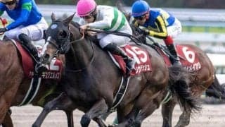 父ルーラーシップが輝いた香港に初見参 ソウルラッシュが待望のGI獲り狙う