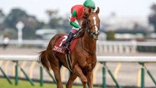 【阪神JF枠順確定】コラソンビートは5枠10番、アスコリピチェーノは4枠7番