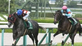 牝馬路線で活躍したウインマイティーが引退 コスモヴューファームで繁殖入り