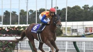 ダートGI/JpnIを3勝したテーオーケインズが引退 アロースタッドで種牡馬入りへ