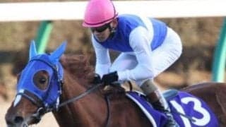 祖母は名牝ダイワスカーレット カルデナールがダートで初陣V狙う