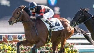 【中日新聞杯予想】2年連続の波乱で今年も荒れ模様!? 波乱の引き金となる冬場特有の要因とは