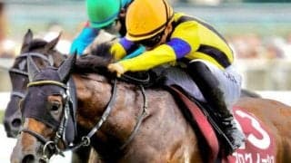 香港Cの賞金は2年前から1.3億円増 香港国際競走は日本馬にお得感あり!?