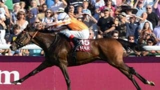 8月に急逝した偉大な母に吉報を届けるか 凱旋門賞馬の娘が土曜中山でデビュー