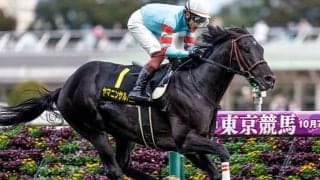 中日新聞杯はスロー必至!? 番手からヤマニンサルバムの押し切りだ