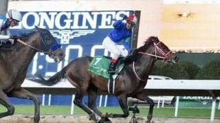 パンサラッサの引退式…12月23日に中山競馬場