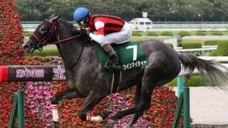 ウインマイティーが競走馬登録抹消