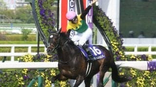 【有馬記念想定馬・騎手】タイトルホルダー、ジャスティンパレスなど18頭