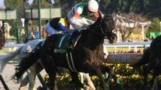 【今日の注目ポイント】中京でハンデGIII中日新聞杯、L.モリス騎手来日など