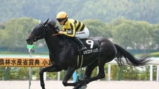 阪神JFは荒れる予感...穴党記者は過去３年で躍動した馬とはレースぶりが異なる２頭に注目