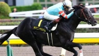 左回りの良馬場はベスト 現役屈指のサウスポーが中日新聞杯で重賞初V決める