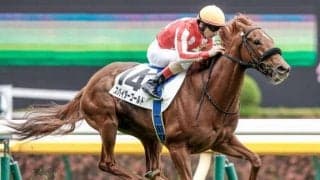 【中日新聞杯予想】総合力問われる舞台 ハンデも相まって混戦に拍車