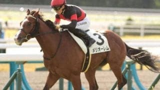 クロフネ、キングカメハメハ…エリカ賞はのちのGI馬多数 今年も素質馬ズラリ