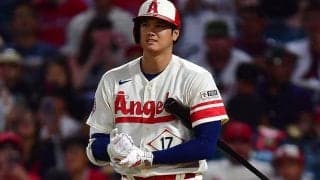 大谷翔平ではなくカナダ人実業家　トロント行きチャーター機の搭乗者判明…米で情報錯綜