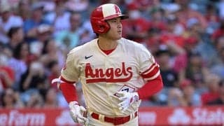 大谷翔平に間違われ注目の的…実業家がブ軍に珍要求　「5歳の息子と869億円契約を」