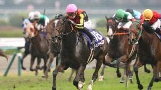 【香港国際競走】血のライバル「神姬・ディヴィーナと吉典娜・ジェラルディーナ」　異国の地で勝利目指す同志へ