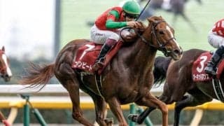 【阪神JF予想】キャリア過多が可能性を狭める!? 2歳GIで求められる更なる上積み