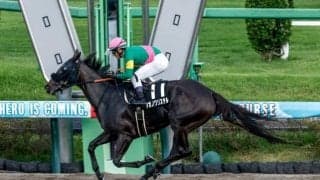 【カペラS予想】最後の急坂で止まるシーンも!? パワーが求められるダート重賞