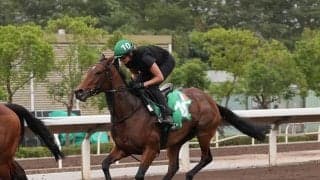 イクイノックスの影響？　外国馬がジャパンCを回避して香港国際競走に出走する理由