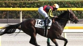 3億円馬が昨年の凱旋門賞ジョッキーを背に初陣Vへ 父ドゥラメンテ×母は米2歳女王の良血馬