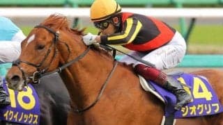 皐月賞馬ジオグリフの半妹チルカーノ ムルザバエフ騎手でデビュー勝ちなるか