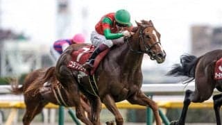 【阪神JF前日オッズ】コラソンビートが4.6倍で1番人気