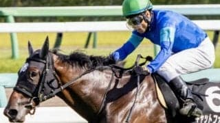 阪神JFは平均ペースからの末脚比べ ロスなく運べて切れるキャットファイトの出番だ