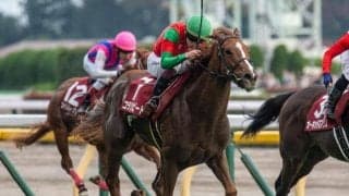 霜降り明星・粗品「スピード、競馬センスは目を見張る」 阪神JFは3連単1着固定32点勝負