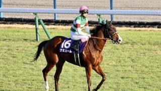 【香港国際競走】高野師「マイルCSの状態を維持出来ている」…ナミュールなど日本馬が10日香港で出走