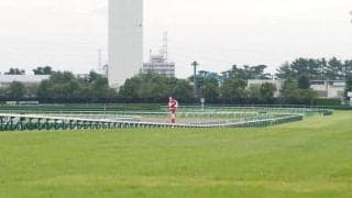 【リゲルS】マテンロウスカイがオープン初勝利