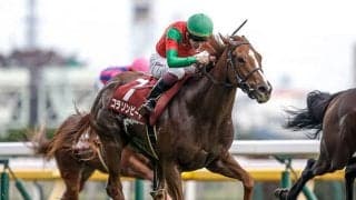 【今日の注目ポイント】2歳女王決定戦・阪神JF、香港国際競走に日本馬13頭参戦