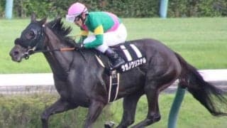 【カペラS予想】前走7着は参考外 リフレッシュ効果でタガノクリステルが巻き返す