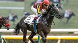 【阪神JF予想】将来性豊かな素質馬が集結 2歳女王を決する一戦