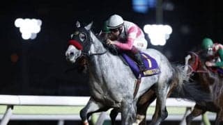 【カペラS予想】2年連続2着の8歳古豪 安定感ピカイチで今度こそ