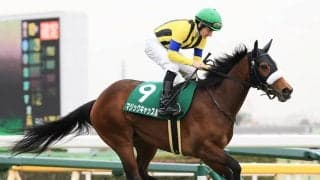 厩舎スタッフが絶賛するミラビリスマジック「動きは軽いし、走りがいい。素質は十分」